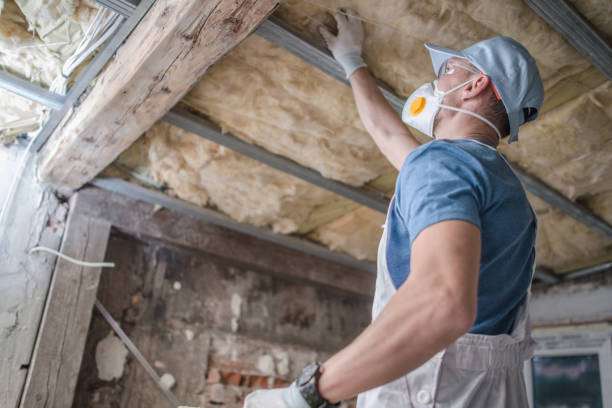 Best Eco-Friendly Insulation in East Quogue, NY