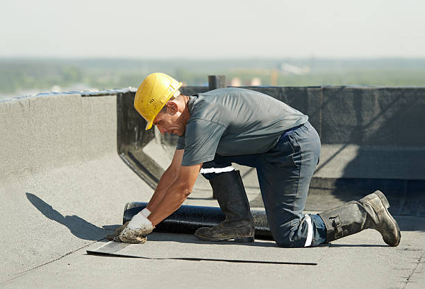Best Specialized Insulation Services in East Quogue, NY